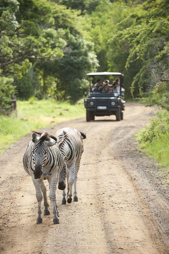Zululand Safari Lodge Hluhluwe Luaran gambar